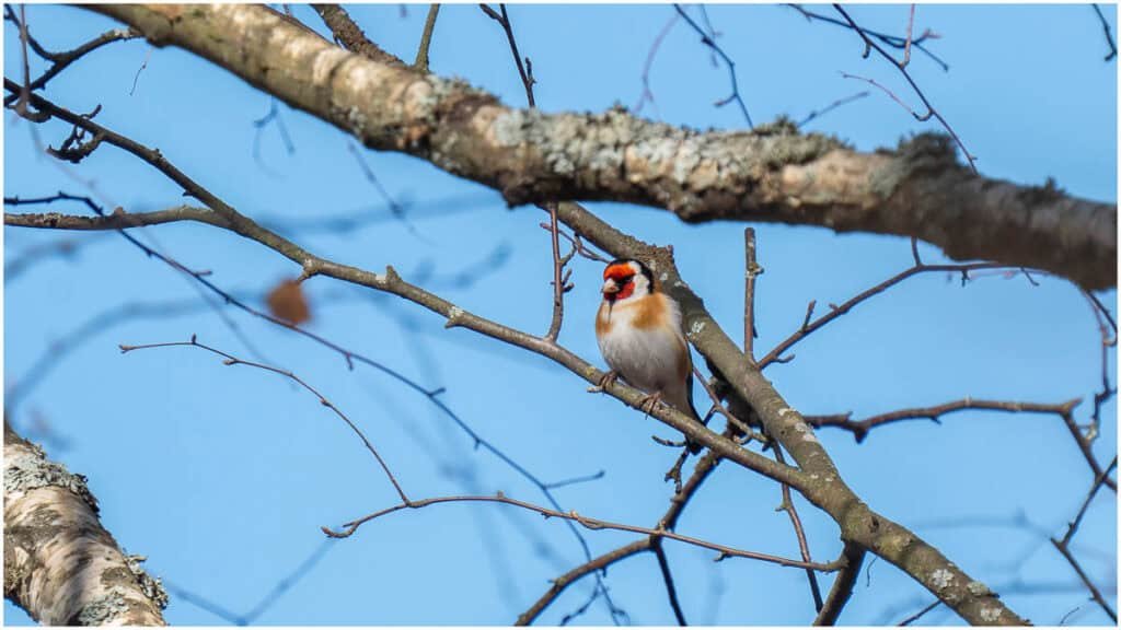 jonipysto.com 3 of 4